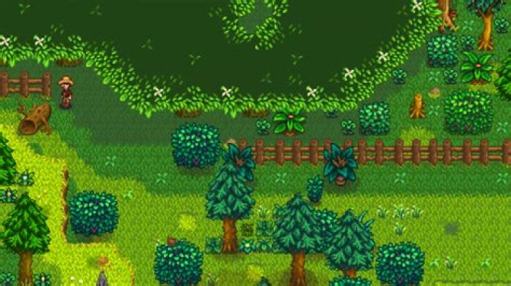 The Many Hidden Secrets of Stardew Valley