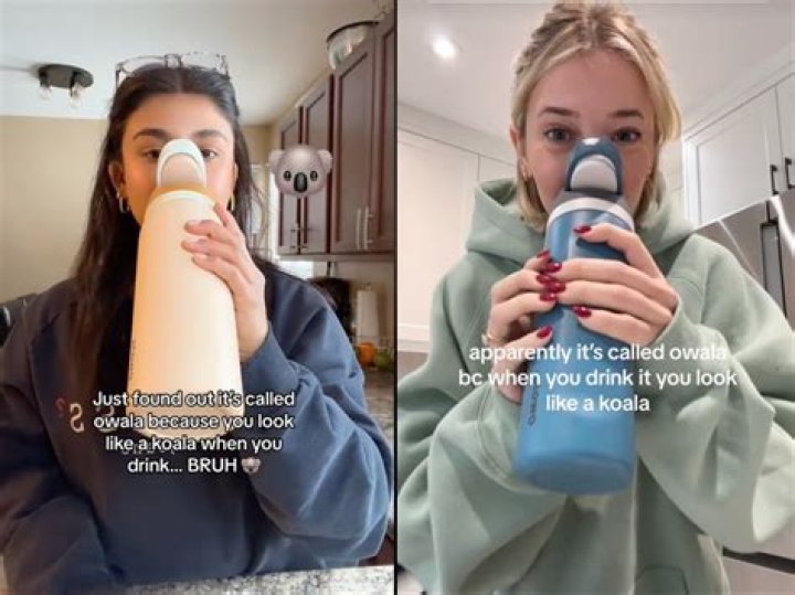 Harry Potter: Hogwarts .. - Persuade Talbott, while drinking ..