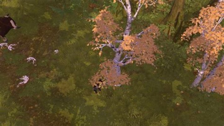 Albion Online - Where to Find Birch Logs