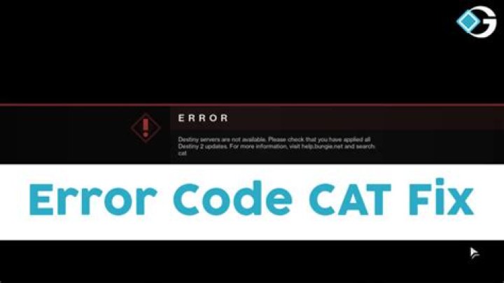 Destiny Cat Error Code Fix: What Does the Cat Error Code Mean in Destiny?