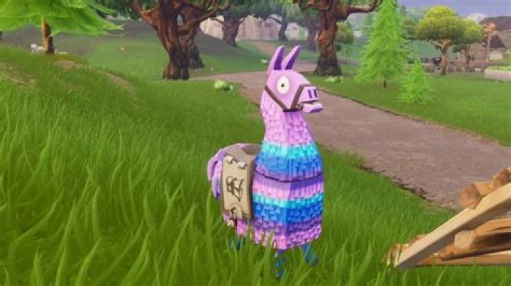 Llama Skin Fortnite: What Is the Season 6 Teaser?