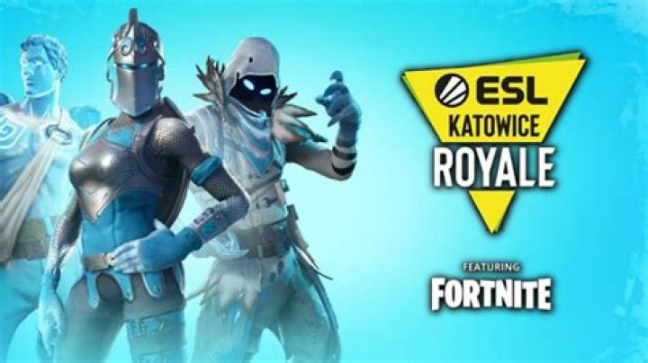 Fortnite downed bug breaks tournament; player becomes invulnerable