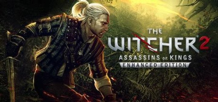 The Witcher 2: Assassins of Kings Steam Achievements