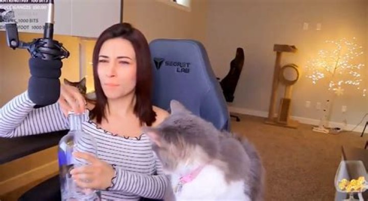 Alinity Twitch ban petition blows up, animal welfare group investigates cat throwing video