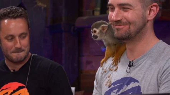 Monkey vomits on Rare dev during Sea of Thieves pet preview livestream