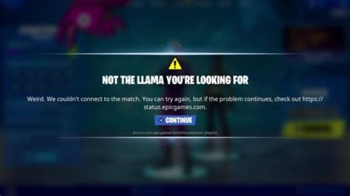 Fortnite Not The Llama You're Looking For Error | Matchmaking fix