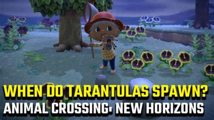 Animal Crossing: New Horizons Tarantula Hours | When do spiders spawn?