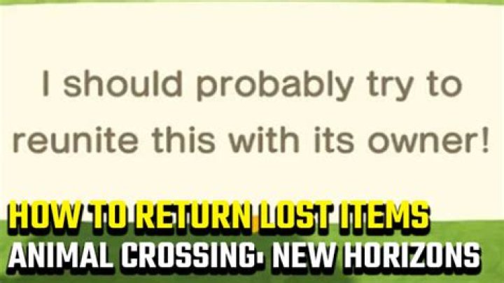 How to return an Animal Crossing: New Horizons lost item