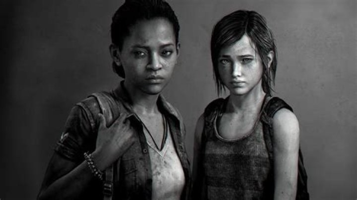 The Last of Us Single Player Expansion DLC Coming December-January