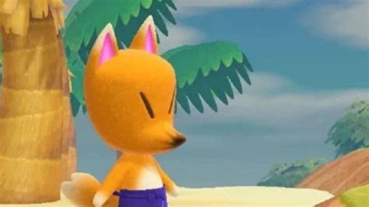 When does an Animal Crossing special NPC spawn?