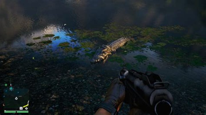 Far Cry 4 Crafting Guide