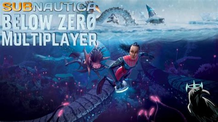 Is there a Subnautica Below Zero multiplayer mod?
