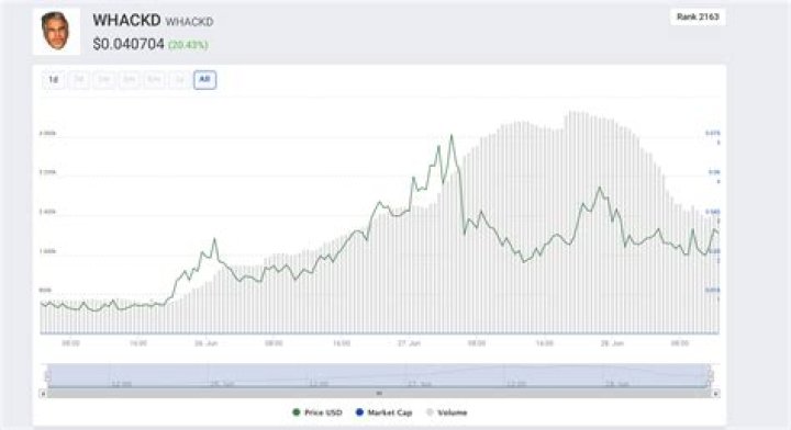 What does the John McAfee cryptocurrency 'WHACKD' tweet mean?