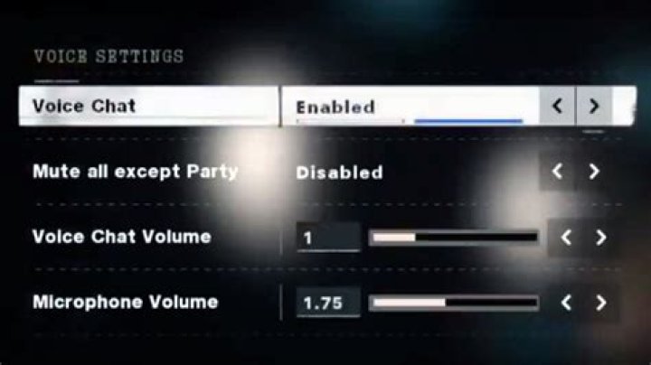 Black Ops Cold War 'Mute all but party' not working fix