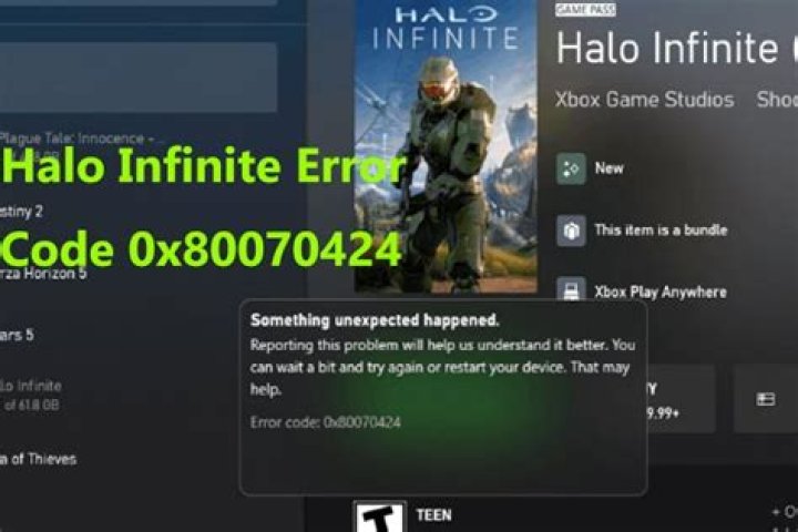 Halo Infinite PC Error Code 0x80070424: Xbox app not downloading fix