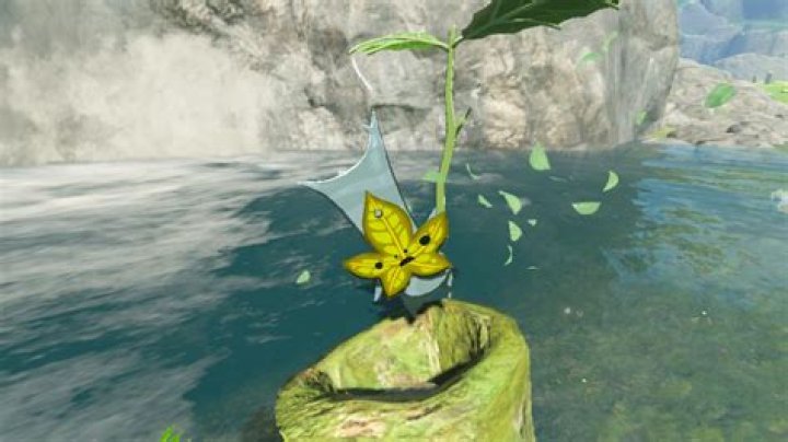 Zelda: Tears of the Kingdom: Are There Koroks?