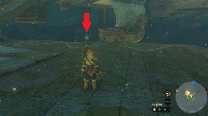 Zelda: Tears of the Kingdom Tulin Missing, Disappeared, Lost During Wind Temple Fix