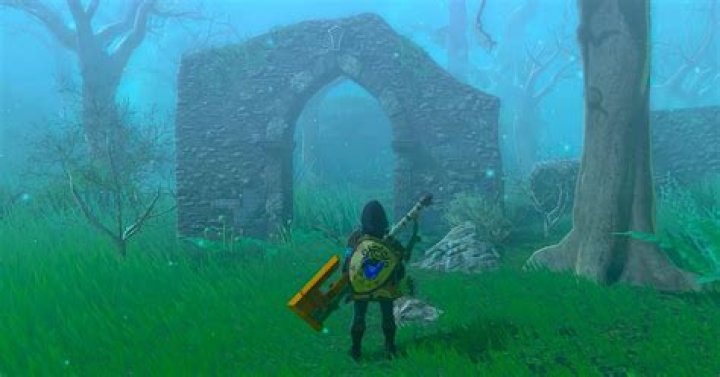Zelda: Tears of the Kingdom Lost Woods: How to Get Past the Fog in Great Hyrule Forest