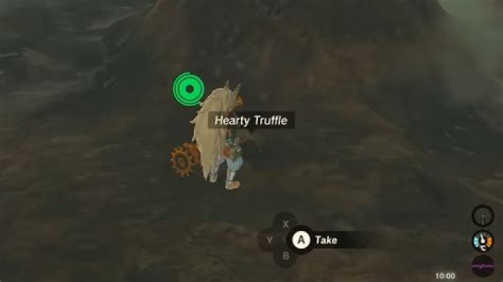 Zelda: Tears of the Kingdom Hearty Truffle Recipe List