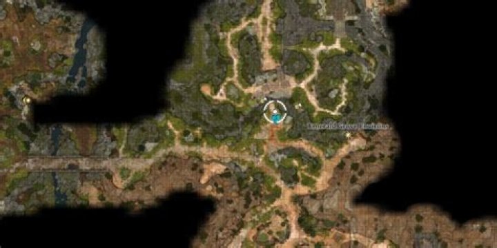 Baldur's Gate 3 Shovel Locations: How to Get a Shovel