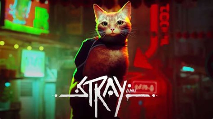 Stray Is Being Adapted Into an Animated Film