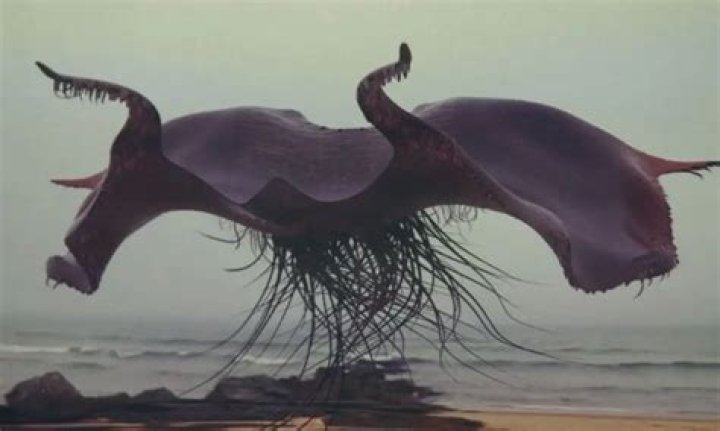 Harry Potter: Hogwarts .. - What charm can repel Lethifold?