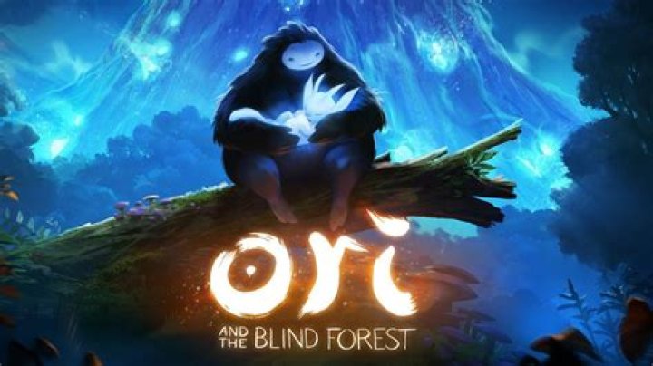 Ori and the Blind Forest Delayed to 2015