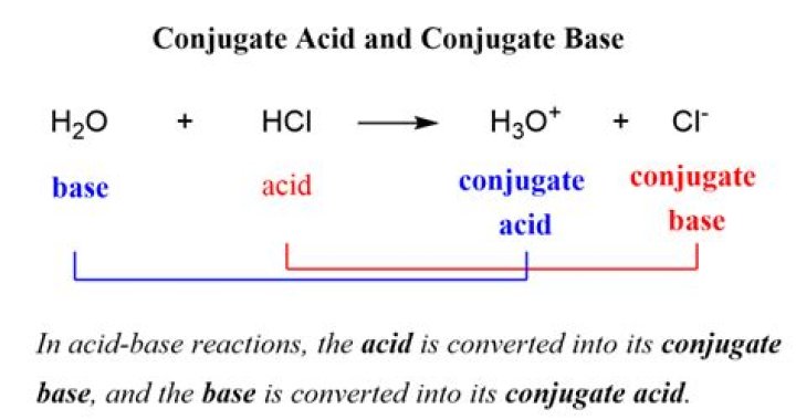 Acid, Base, Conjugate acid, and conjugate base Quiz