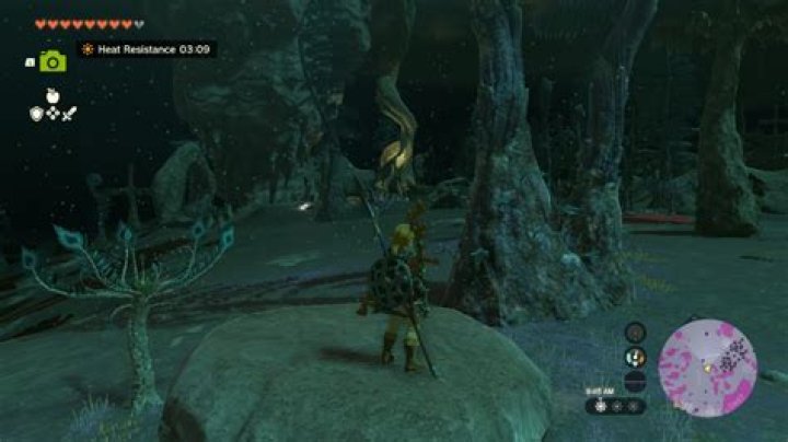 All Frox Locations in Zelda Tears of the Kingdom (TOTK)