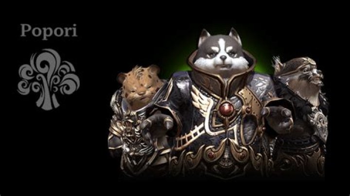 All Races in TERA Online, Explained