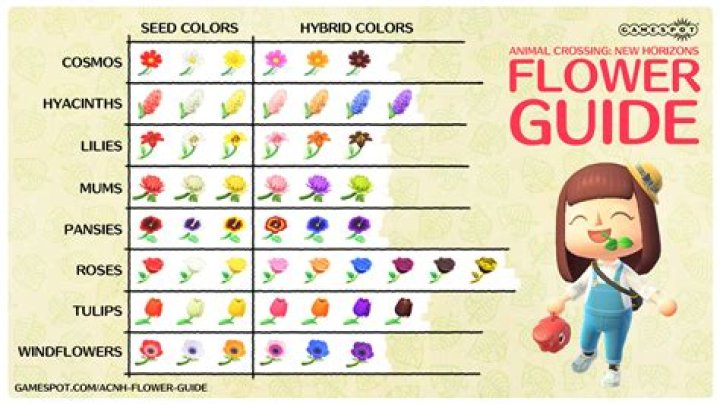 Animal Crossing Flowers: Hybrids, crossbreeding and colour combinations in New Horizons explained