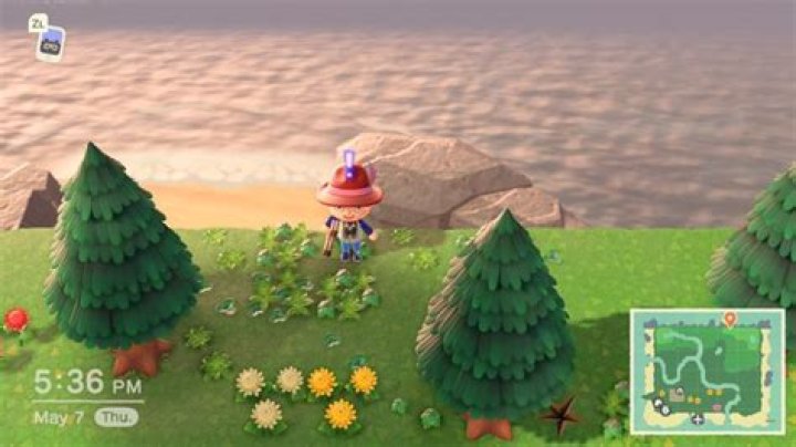 Animal Crossing: New Horizons - How To Uncover Your Secret Beach & What It's For