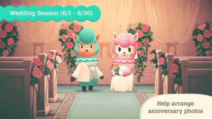 
Animal Crossing New Horizons Wedding Season: How to Get the Nuptial Ring Pillow