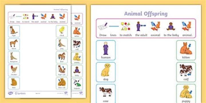 Animal Offspring: Young hare Word Hike – Answers