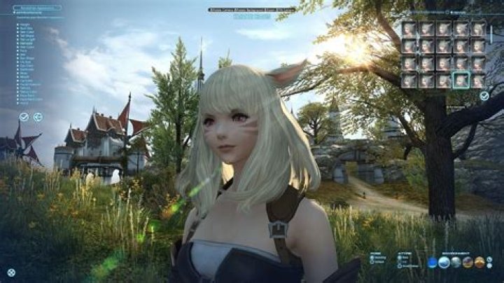 Are the Final Fantasy XIV servers down? How to check the server status