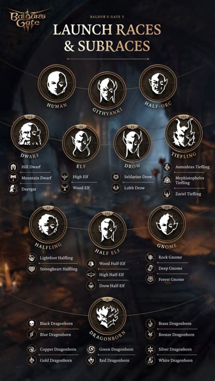 
Baldur’s Gate 3 – How to Level Up