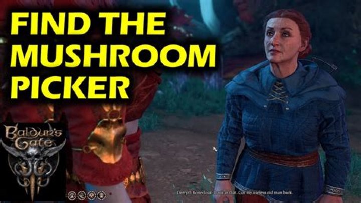 Baldur's Gate 3: How To Save The Mushroom Picker