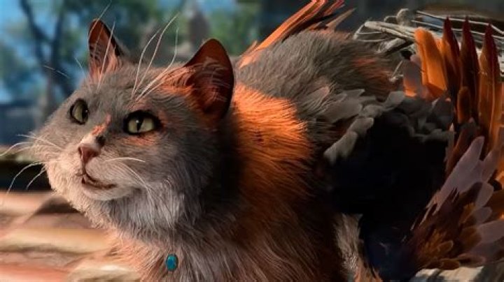 Baldur's Gate 3 - How to Speak to Animals In BG3