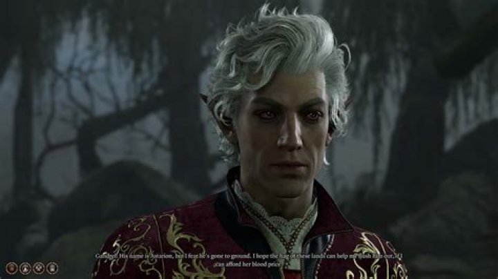 Baldur's Gate 3: Should You Kill Monster Hunter Gandrel in BG3