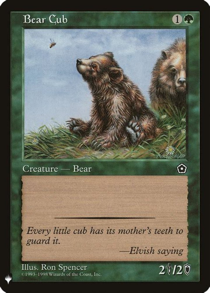 Bear Cub | Portal Second Age - Spanish