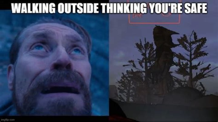 Best Lethal Company Memes