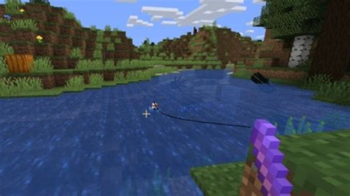 Best Minecraft Fishing Rod Enchantments and What They Do