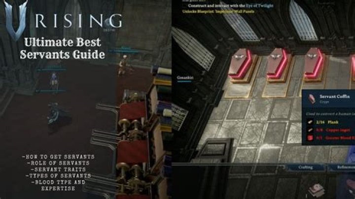 Best Servants In V Rising & How They Work