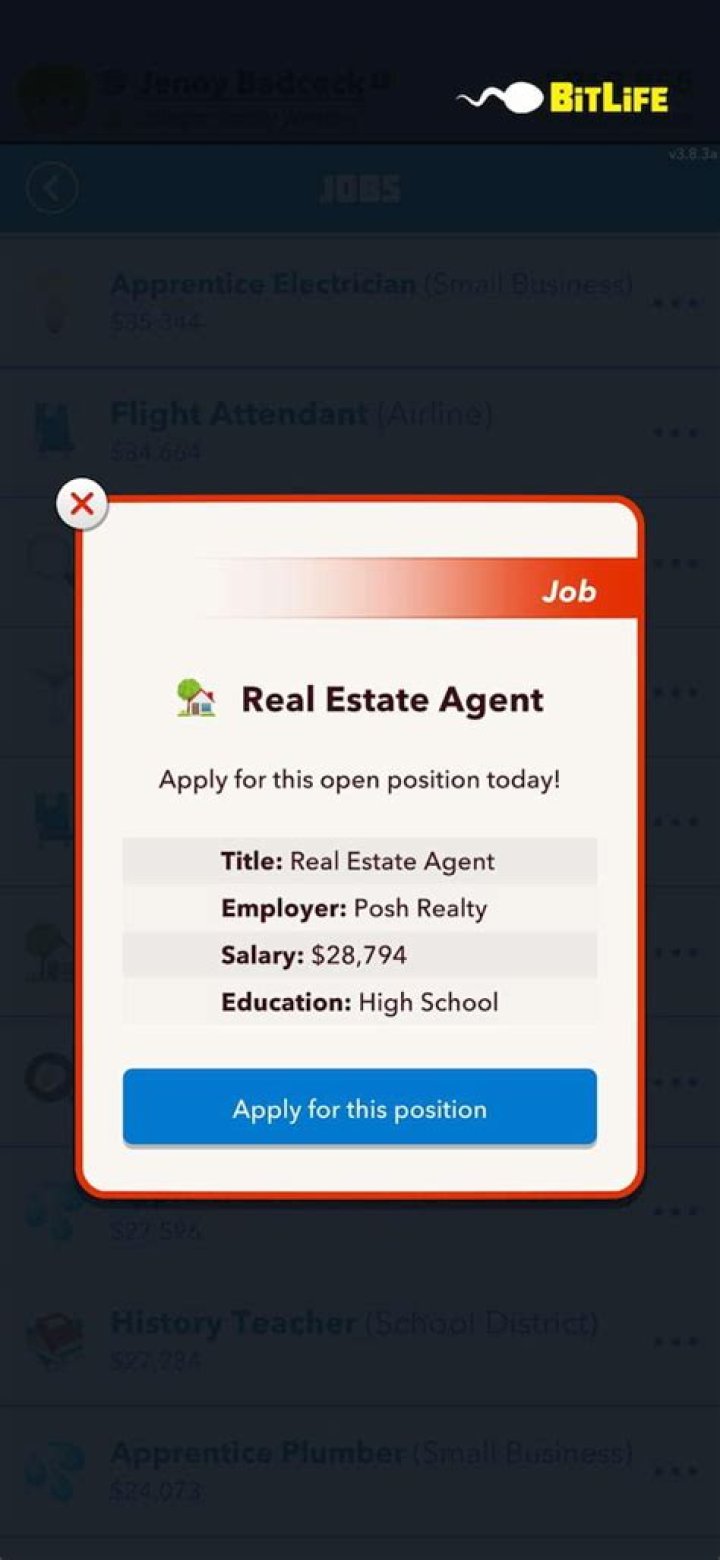 BitLife: How to become a Real Estate Agent