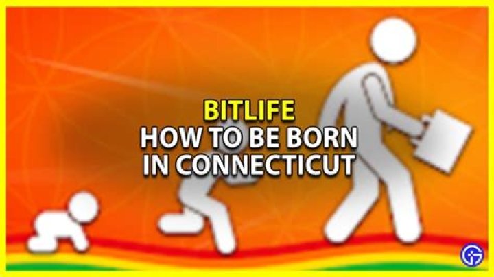 How To Be Born In Connecticut In Bitlife