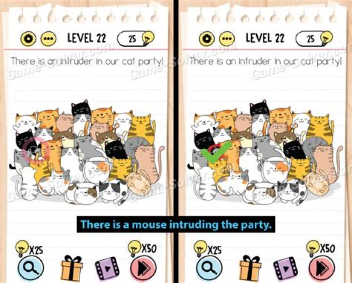 Brain Test Level 22 Answers • Game Solver