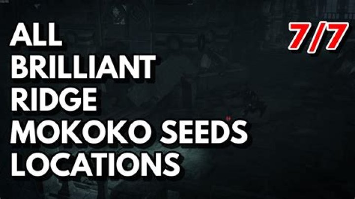 Brilliant Ridge Mokoko Seeds Locations