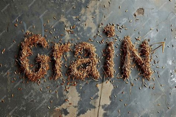 Bristle of grain Word Hike – Answers