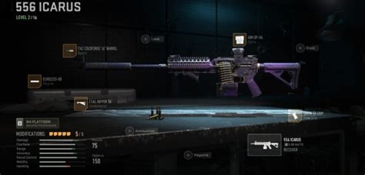 Call of Duty: Warzone 2- Best 556 Icarus Class