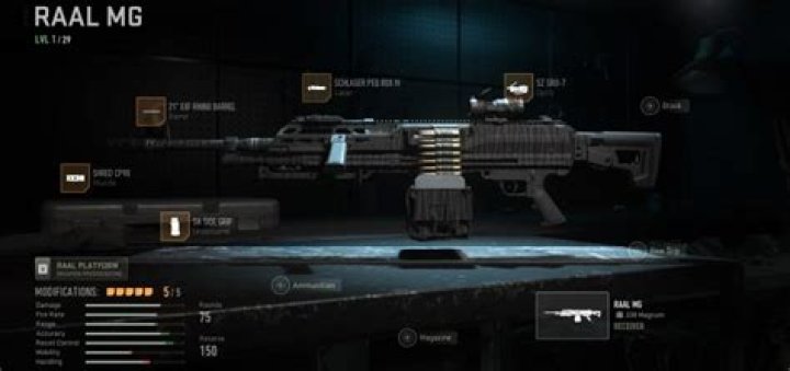 Call of Duty: Warzone 2- Best RAAL MG Class